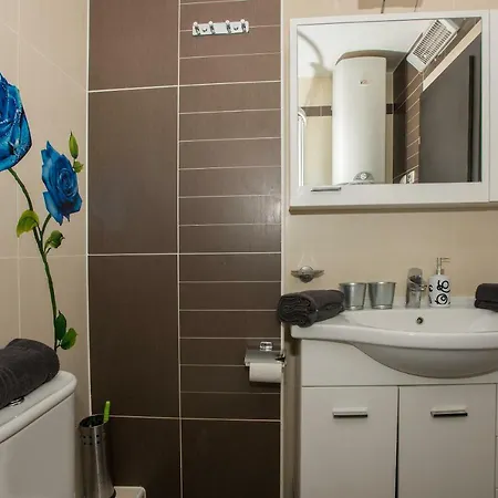 Apartman Sinisa Bandur Apartment *